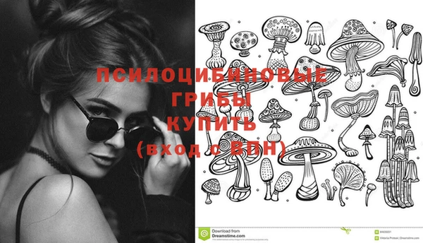 бошки Алексеевка