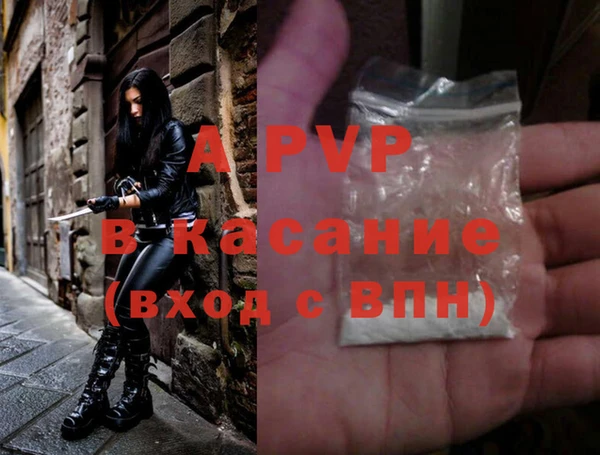 винт Абаза