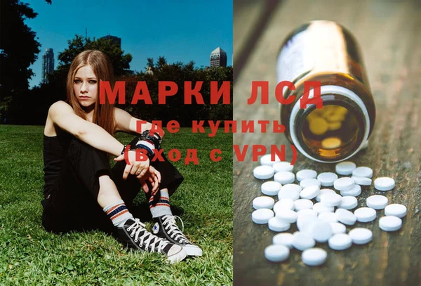 винт Абаза