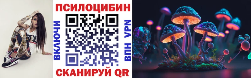 Галлюциногенные грибы Psilocybine cubensis  как найти   Татарск 